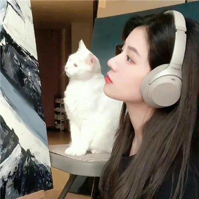 猛虎谷恩仇记