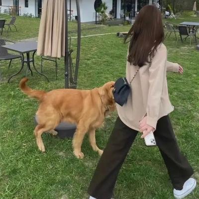 爱情魔发师